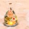 Gifts for Mom Birthday Gifts for Women Preserved Rose Forever Flower in Glass Angel Figurines Fresh Flowers for Delivery Anniversary Mothers Day Real Colorful Roses for Grandma Her Wife from Daughter